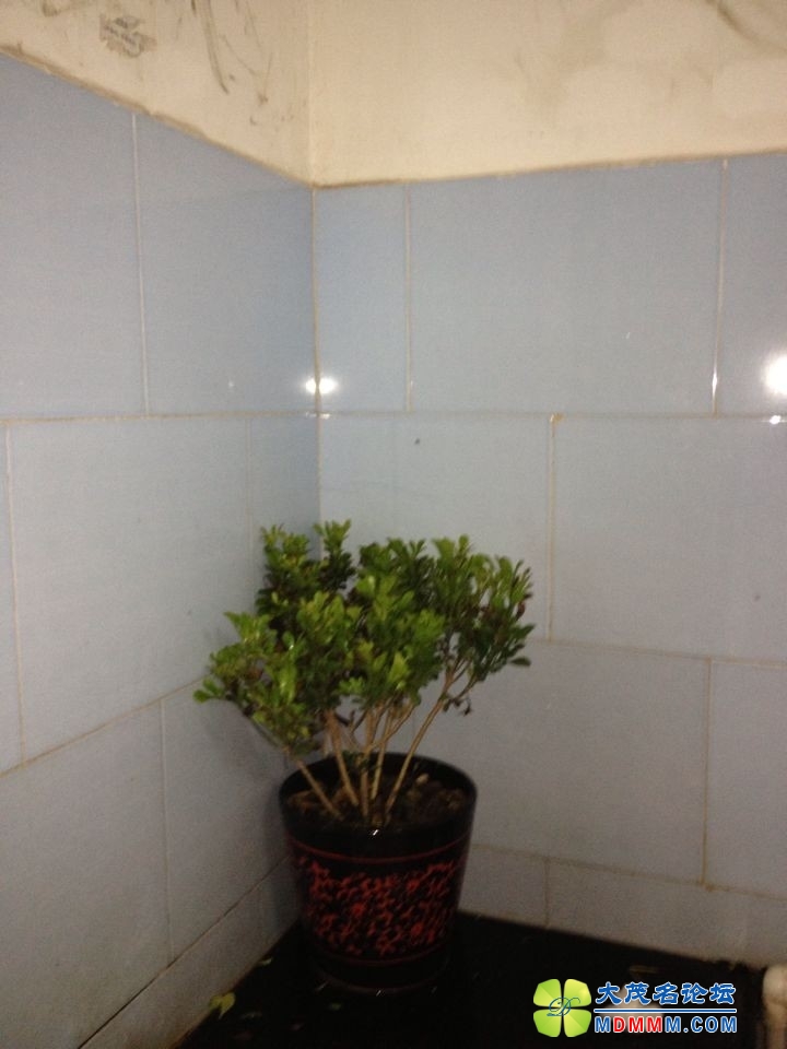 QQͼƬ20140228105012.jpg
