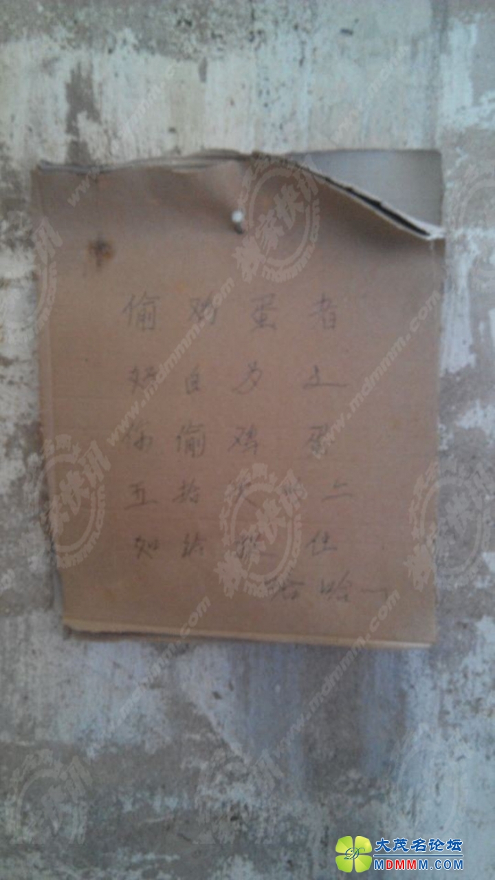 QQͼƬ20140227163550_______.jpg