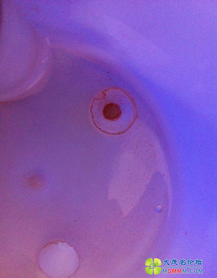 27_728764_0715dfe7b31c1a2.jpg
