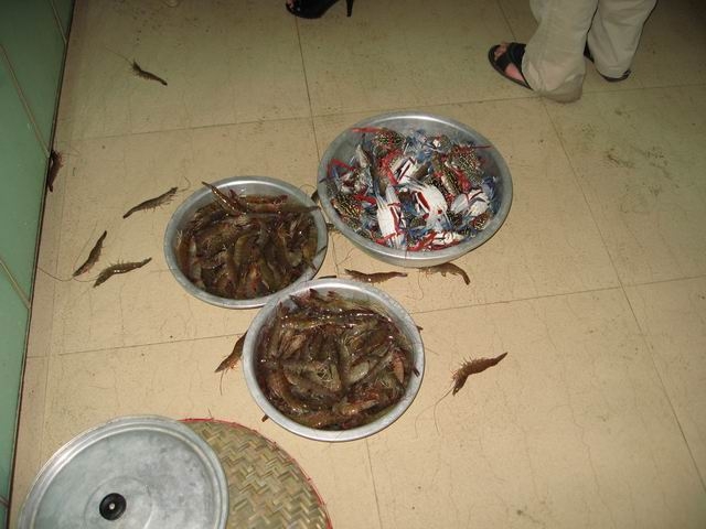 psuCA4P557D.jpg