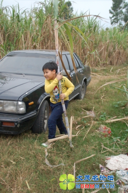 DSC_8773.jpg