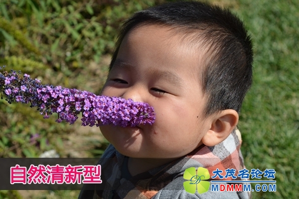 f62484a8-2c06-4ed6-a9c7-7e1cab83376c.jpg