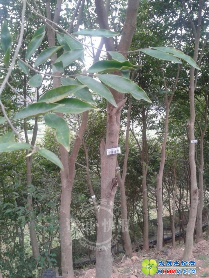QQͼƬ20140312100245_____.jpg
