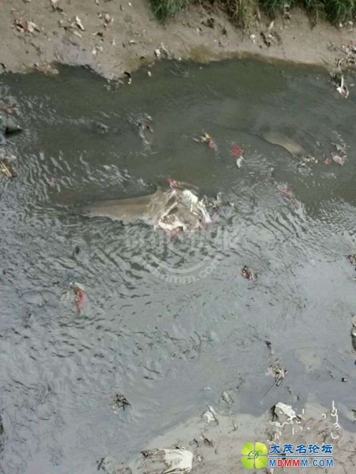 QQͼƬ20140313163350_____________.jpg