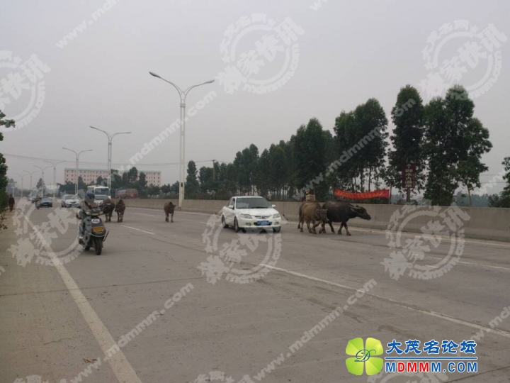 QQͼƬ20140316110453.jpg