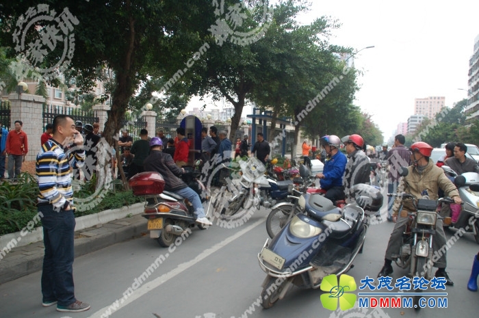 DSC_9155.jpg