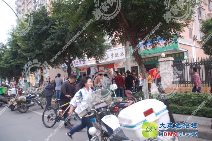 DSC_9132.jpg