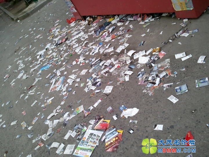 WP_002913.jpg