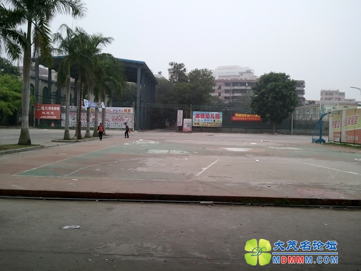 WP_002922.jpg