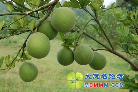 2012115114040564.jpg
