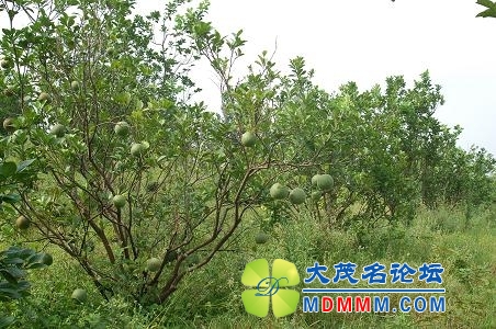 2012115113953744.jpg