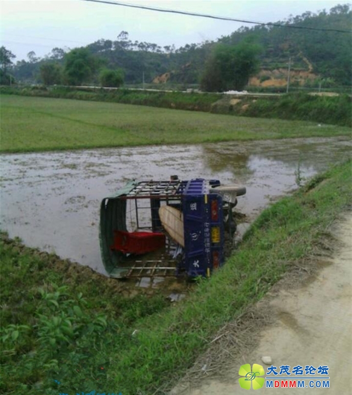 QQͼƬ20140320115200_.jpg