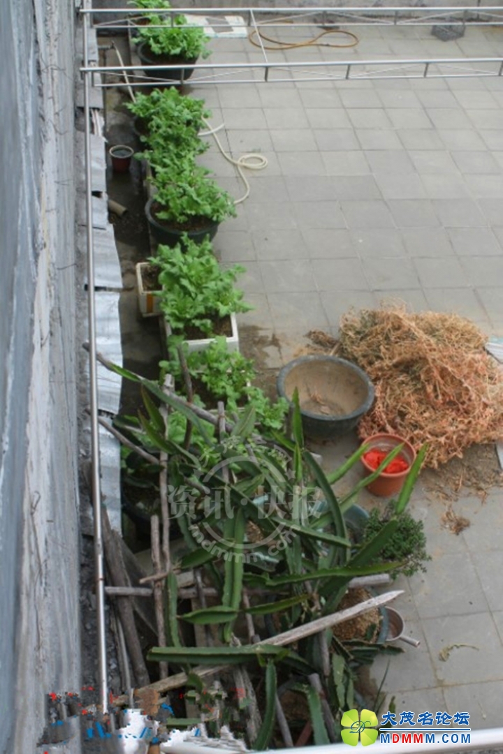 QQͼƬ20140329091158_.jpg