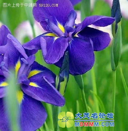 getimg.php?url=http%3A%2F%2Fhome.southcn.com%2Fh%2Fimages%2Fattachement%2Fjpg%2Fsite4%2F20131209%2F0016ec8a5127140f58e857.jpg