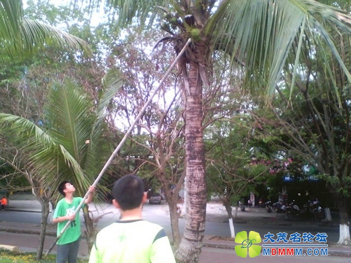 QQͼƬ20140330161827.jpg