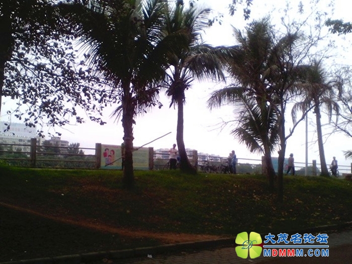 QQͼƬ20140330161830.jpg
