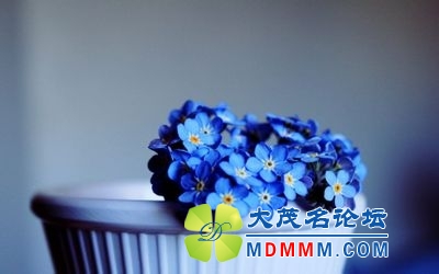a9d3fd1f4134970a0f24512597cad1c8a7865d60.jpg