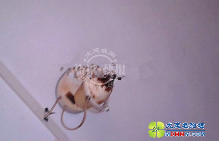 095152cm33sc4bm66b1m61__.jpg
