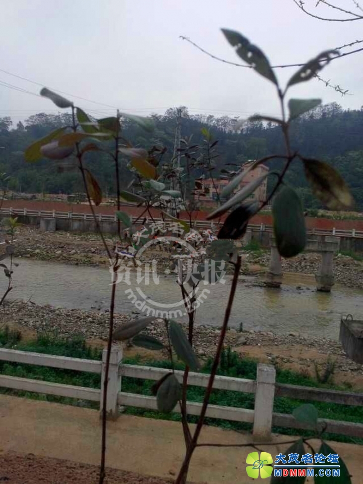 20140402104458427_.jpg