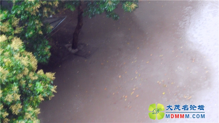 DSCN5783.jpg
