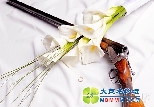getimg.php?url=http%3A%2F%2Fimg0.pclady.com.cn%2Fpclady%2F1404%2F06%2F1133633_19.jpg