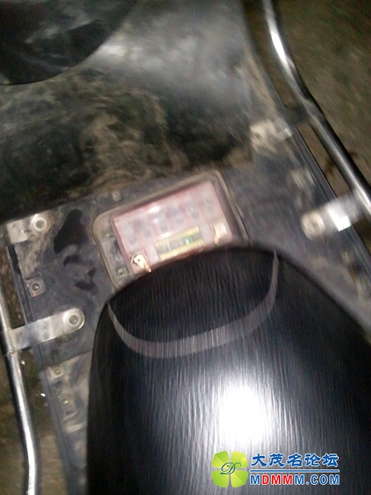 WP_003119.jpg