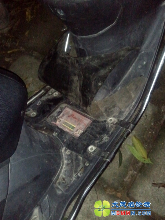 WP_003120.jpg