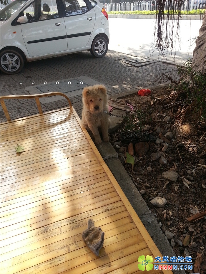 20140226_091503.jpg