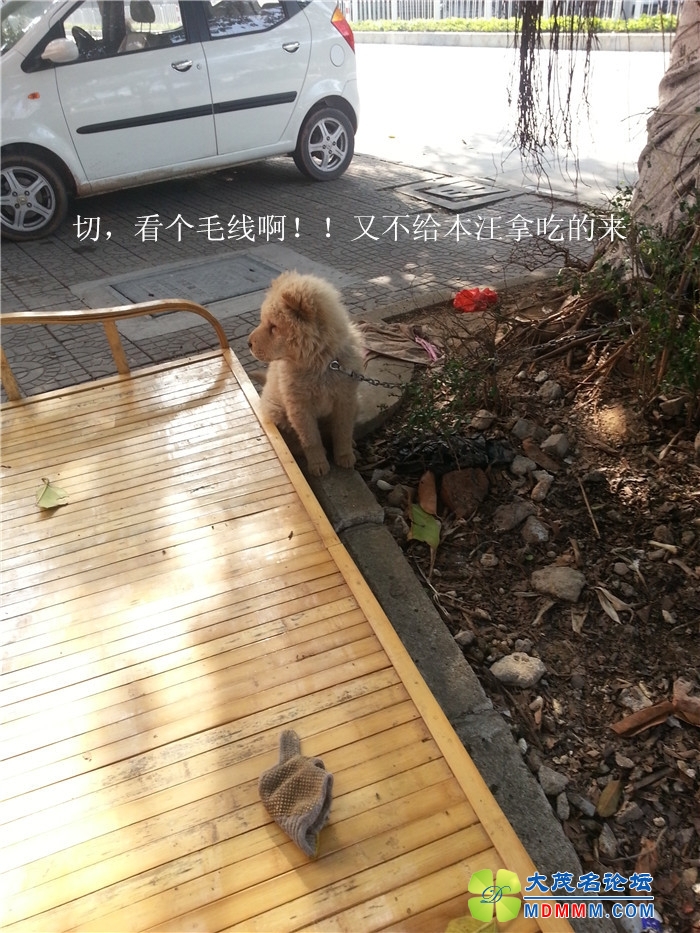 20140226_091501.jpg