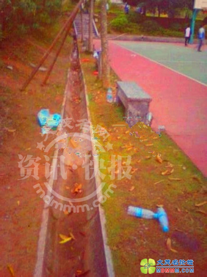 QQͼƬ20140411165139__.jpg