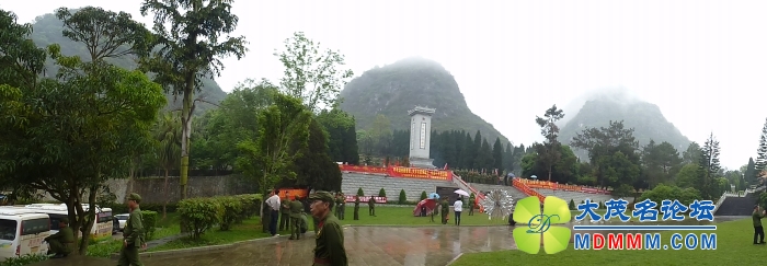 P1100232.jpg