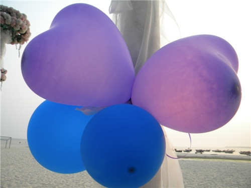 DSCN0901.jpg