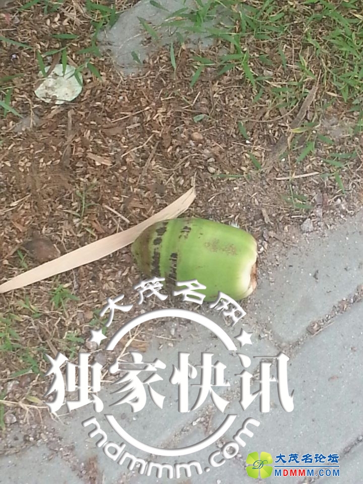 QQͼƬ20140503101924.jpg