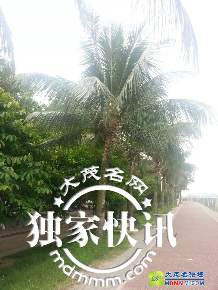 QQͼƬ20140503101951.jpg