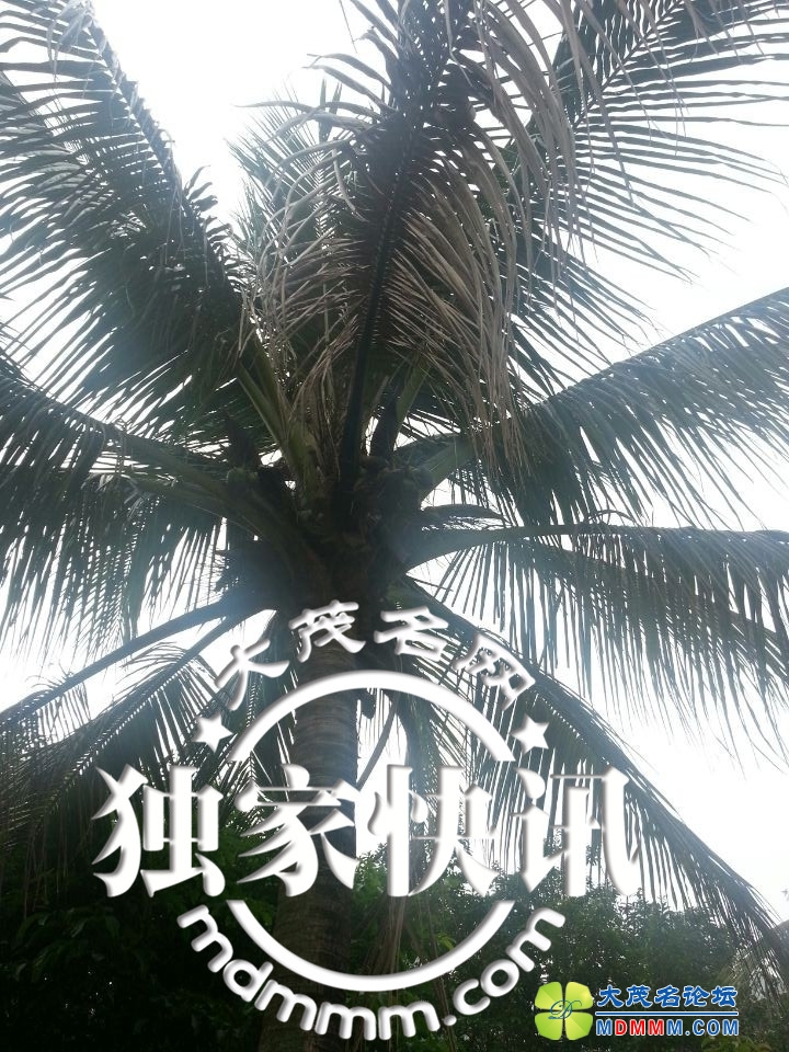 QQͼƬ20140503101943.jpg