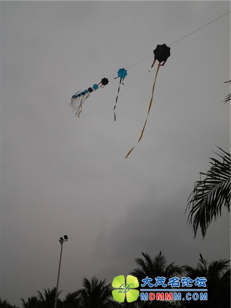 20140501_154845_.jpg