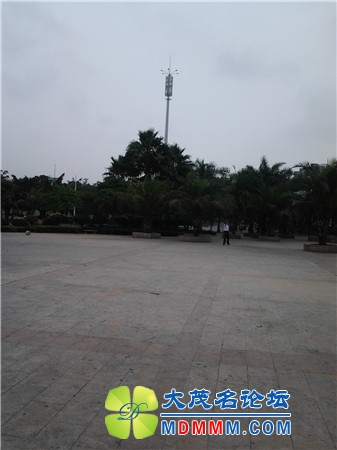 20140501_154526_.jpg