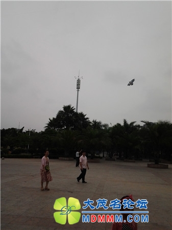 20140501_154535_.jpg