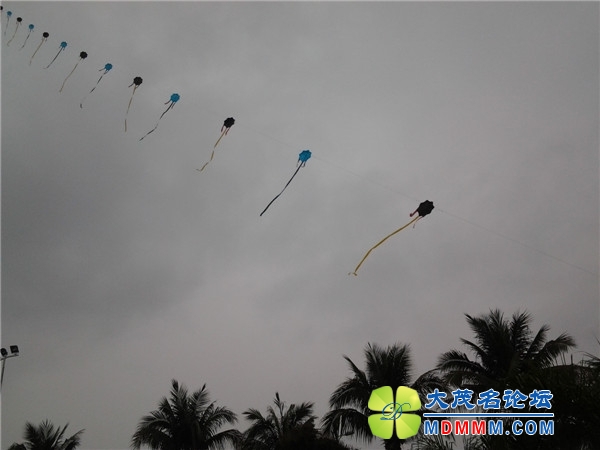 20140501_154147_.jpg