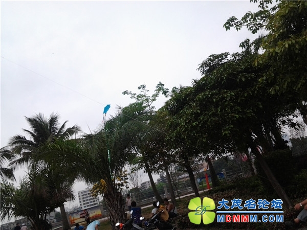20140501_154141_.jpg
