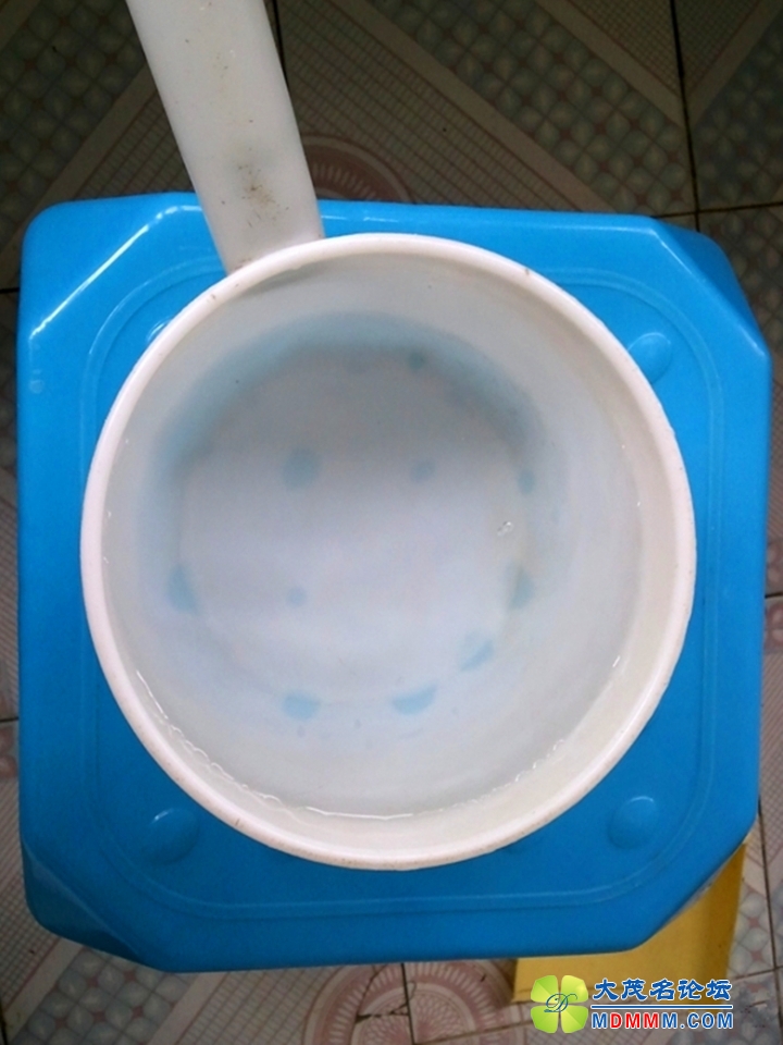 105406xdth0sagiauum84d____________.jpg