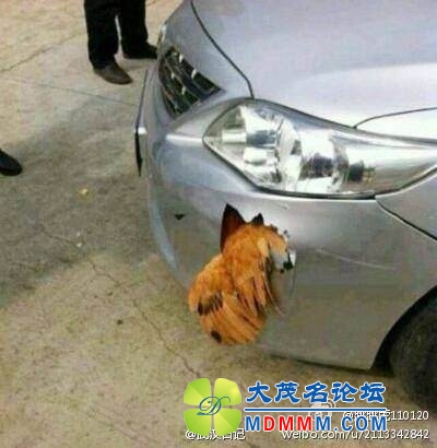 QQͼƬ20140504113539.jpg