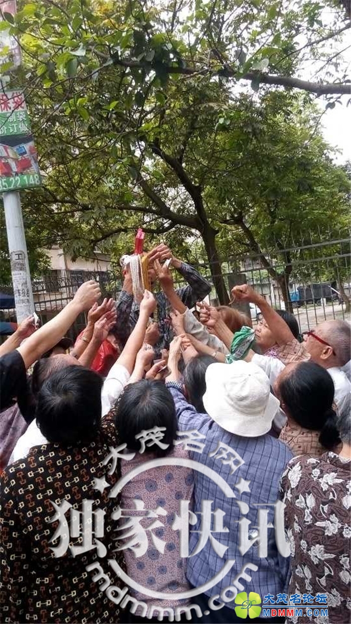 QQͼƬ20140508115703.jpg