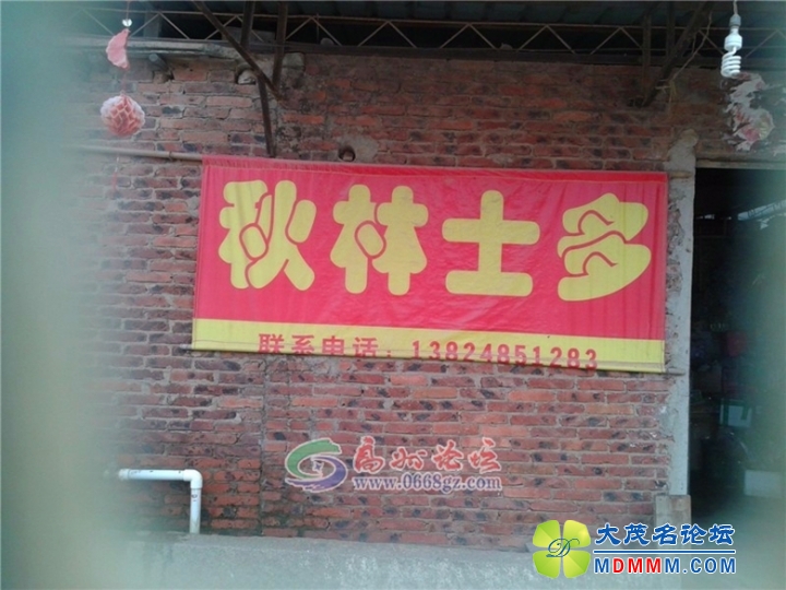 085645gg6zu3s191uusd9z_副本.jpg