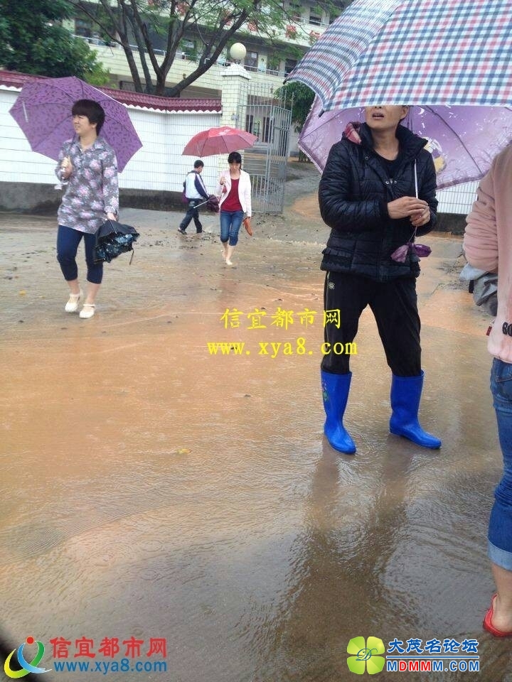 074059cuo9d9dede2omj2b.jpg