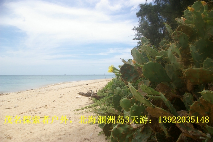 IMGP8427.jpg