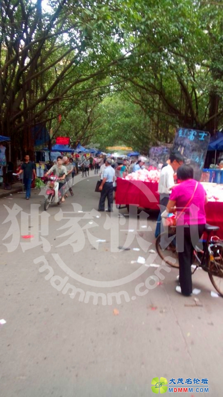 120451ki4se1a9a14ihzha__.jpg