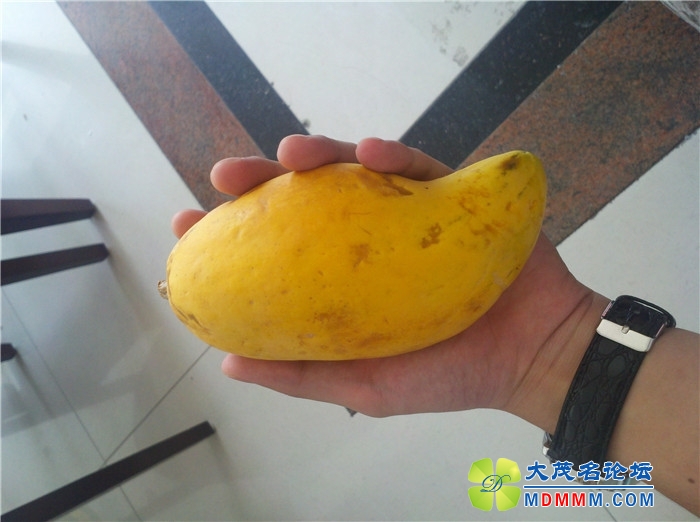2012-11-03_12-25-57_240.jpg