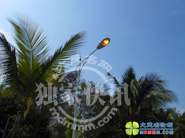 DSCN5651_.jpg