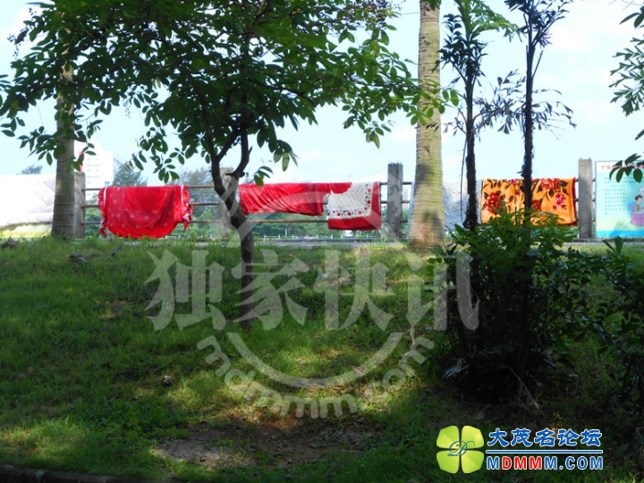 DSCN5655_.jpg